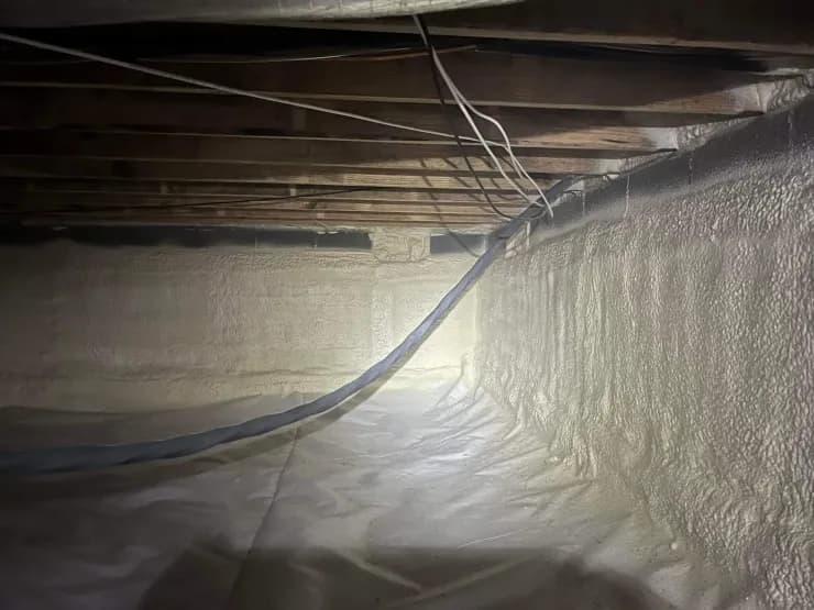 Crawlspace encapsulation project completed by Elite Contractor Services
